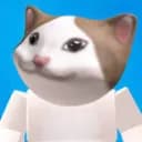POP CAT SERVEUR