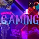 FRANCE GAMING