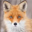 Serveur de Rouxie