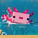 Team Axolotl