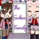 Swkiwi's serveur ✨?